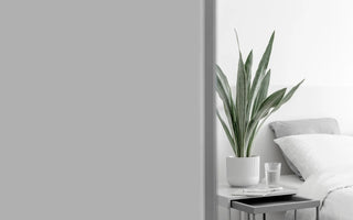 10 Bedroom Plants for a Prettier Space and Healthier Sleep